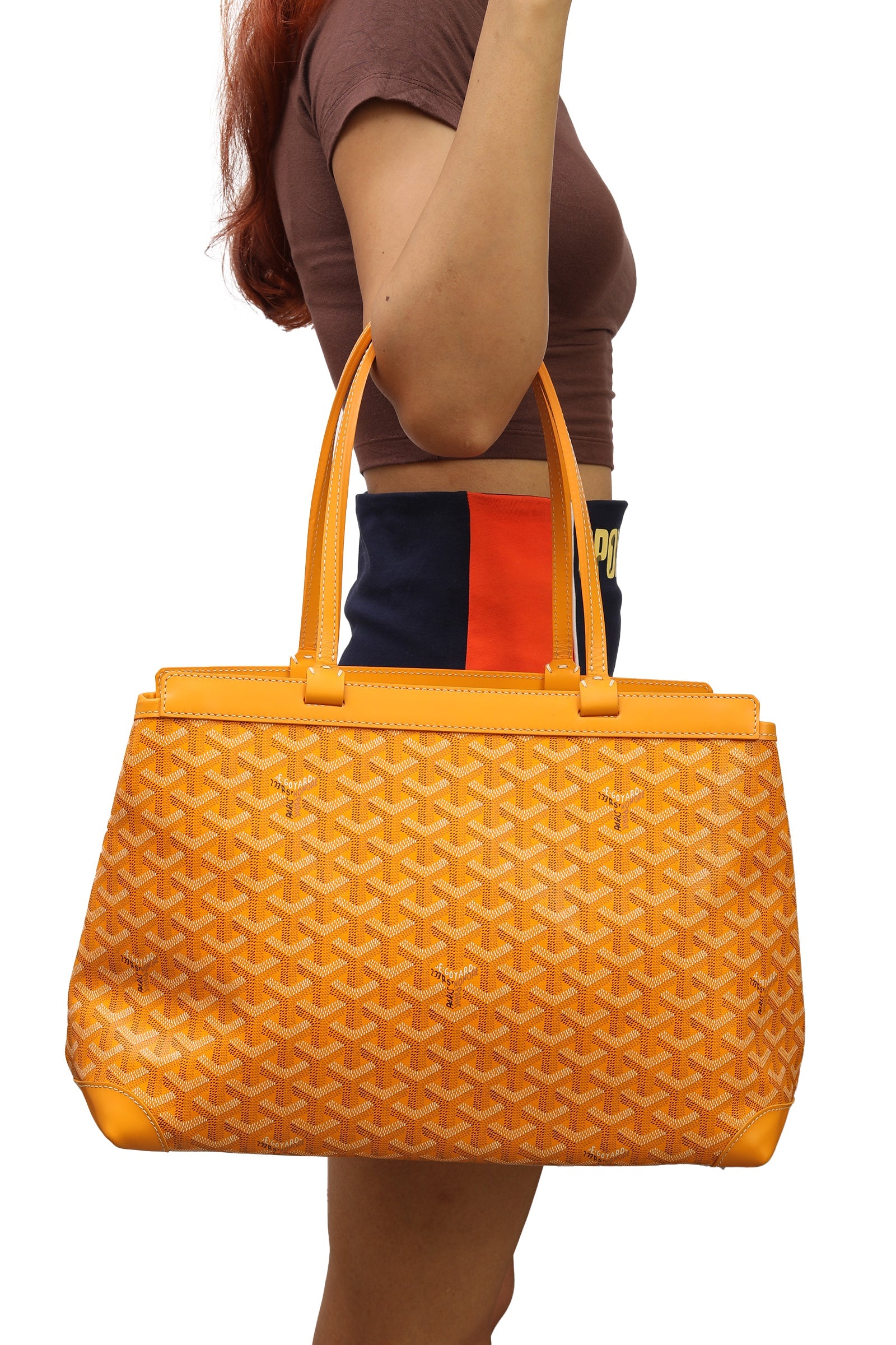 Goyard Goyardine Bellechasse Pm Shoulder Bag