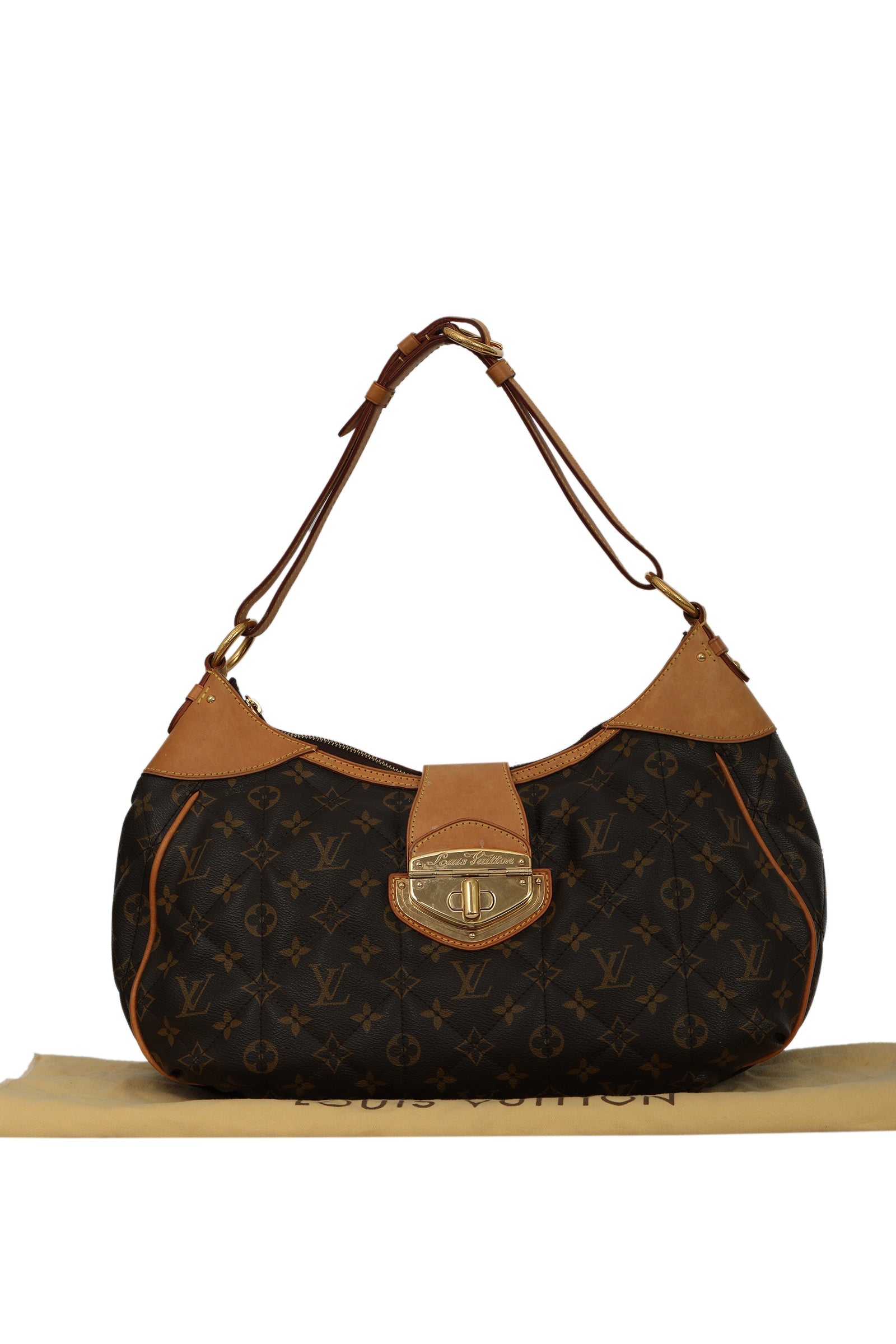 Louis Vuitton Monogram Etoile City Gm Bag