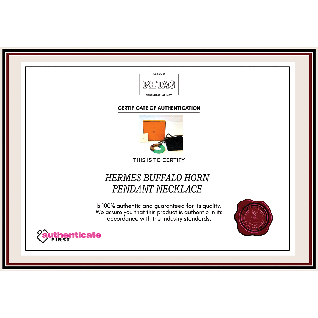 HERMES BUFFALO HORN PENDANT NECKLACE