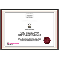 Prada Oro Paillettes Resin Chain Shoulder Bag