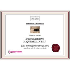 Dolce & Gabbana Plaque Metallic Belt