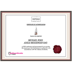 Michael Kors Adele Messenger Bag