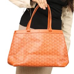 GOYARD BELLECHASSE BIAUDE PM BAG