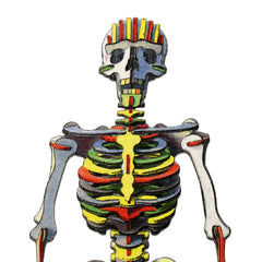 PAUL SMITH SIZE-S SKELETON T-SHIRT
