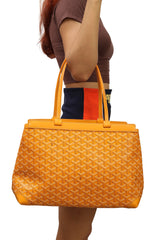 Goyard Goyardine Bellechasse Pm Shoulder Bag 