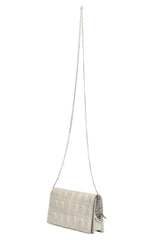 Christian Dior Grey Metallic Wallet On Chain Bag 