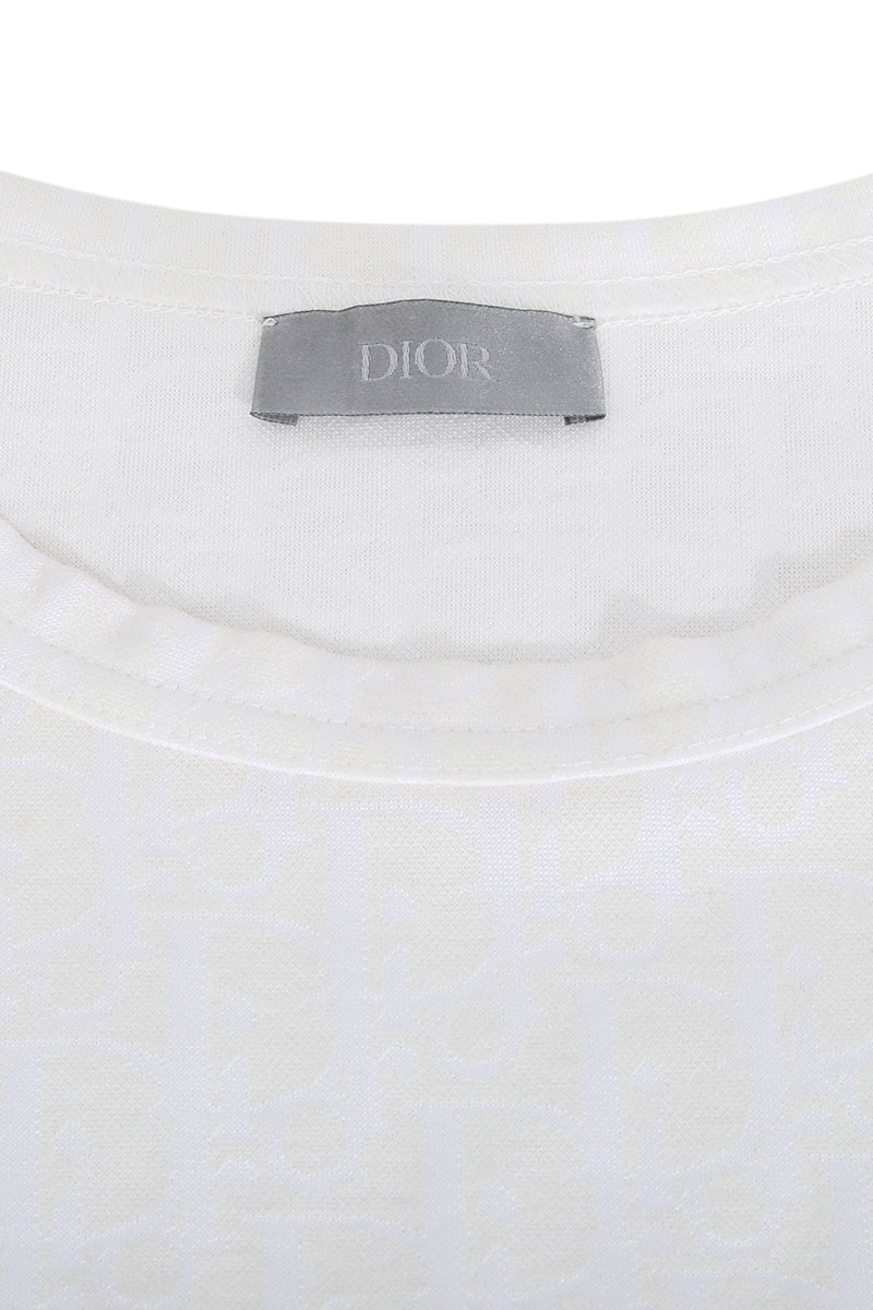 Christian Dior Ombre T Shirt 