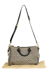 Louis Vuitton Idyle Monogram Gray Fabric Speedy 30 Bandouliere Bag