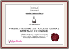 Coach Leather Snakeskin Swagger 20 Turnlock Chalk Blach Shoulder Bag