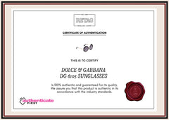 Dolce & Gabbana Dg 6105 Sunglasses