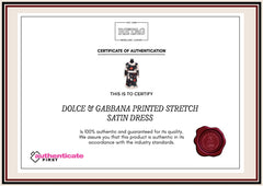 Dolce & Gabbana Printed Stretch Satin Dress