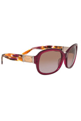 Dolce & Gabbana Classic Sunglasses