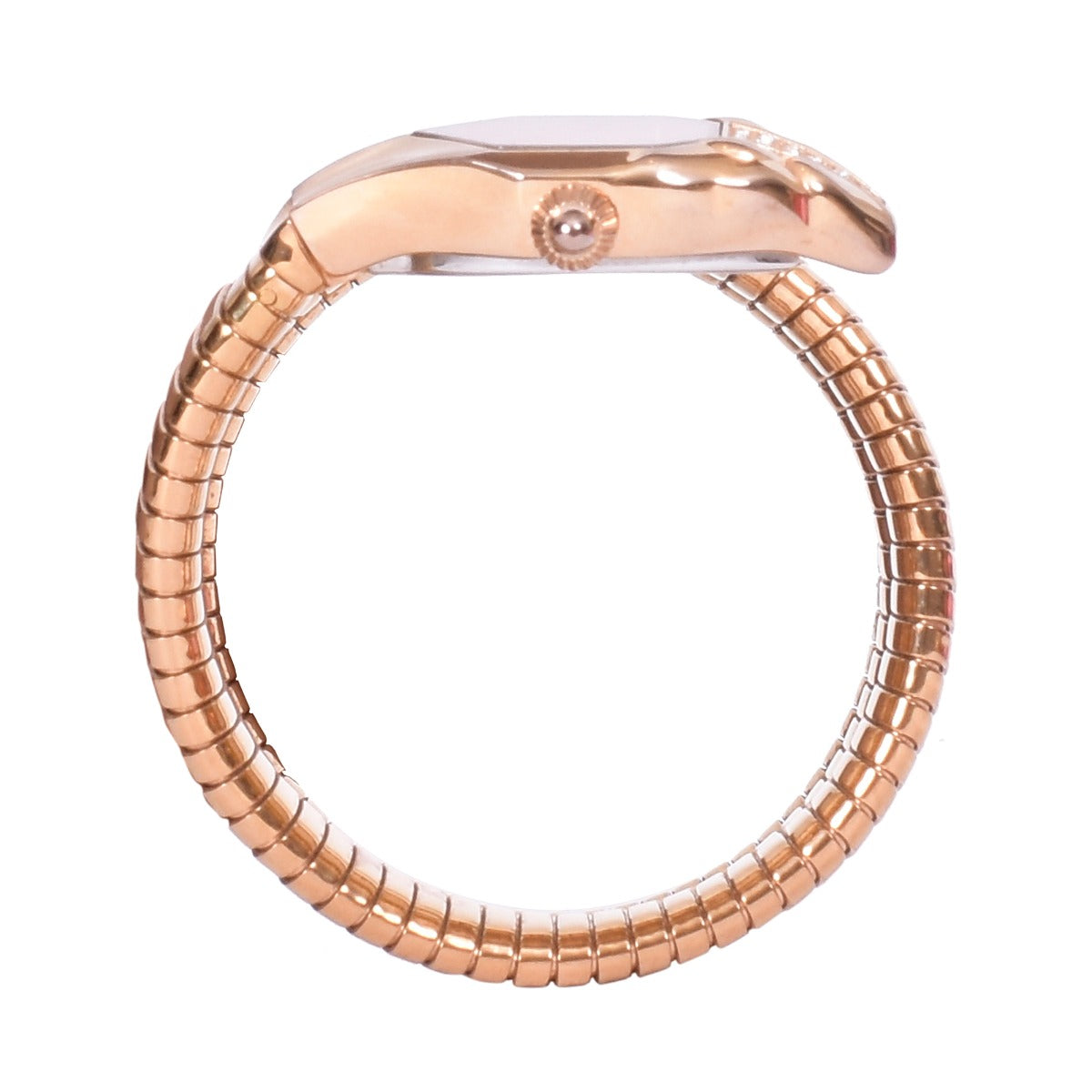 JUST CAVALLI GLAM CHIC WOMENâ€™S WATCH