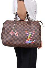 louis-vuitton-damier-ebene-speedy-30-handbag
